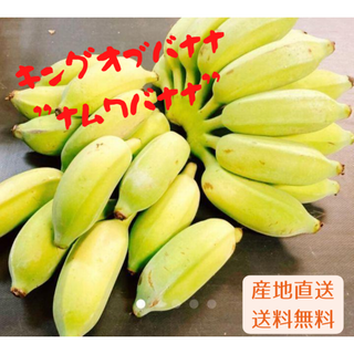 沖縄本島産　農家産直 高級バナナ！　ドワーフナムワバナナ！コンパクトセット！(フルーツ)