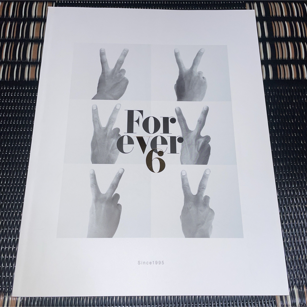 V6(ブイシックス)のV6LIVETOUR 2015-SINCE1995～FOREVER-パンフレット エンタメ/ホビーのタレントグッズ(アイドルグッズ)の商品写真