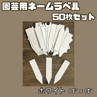 園芸用 ネーム ラベル 札 多肉 植物 白 50枚 セット 5cm×1cm(その他)