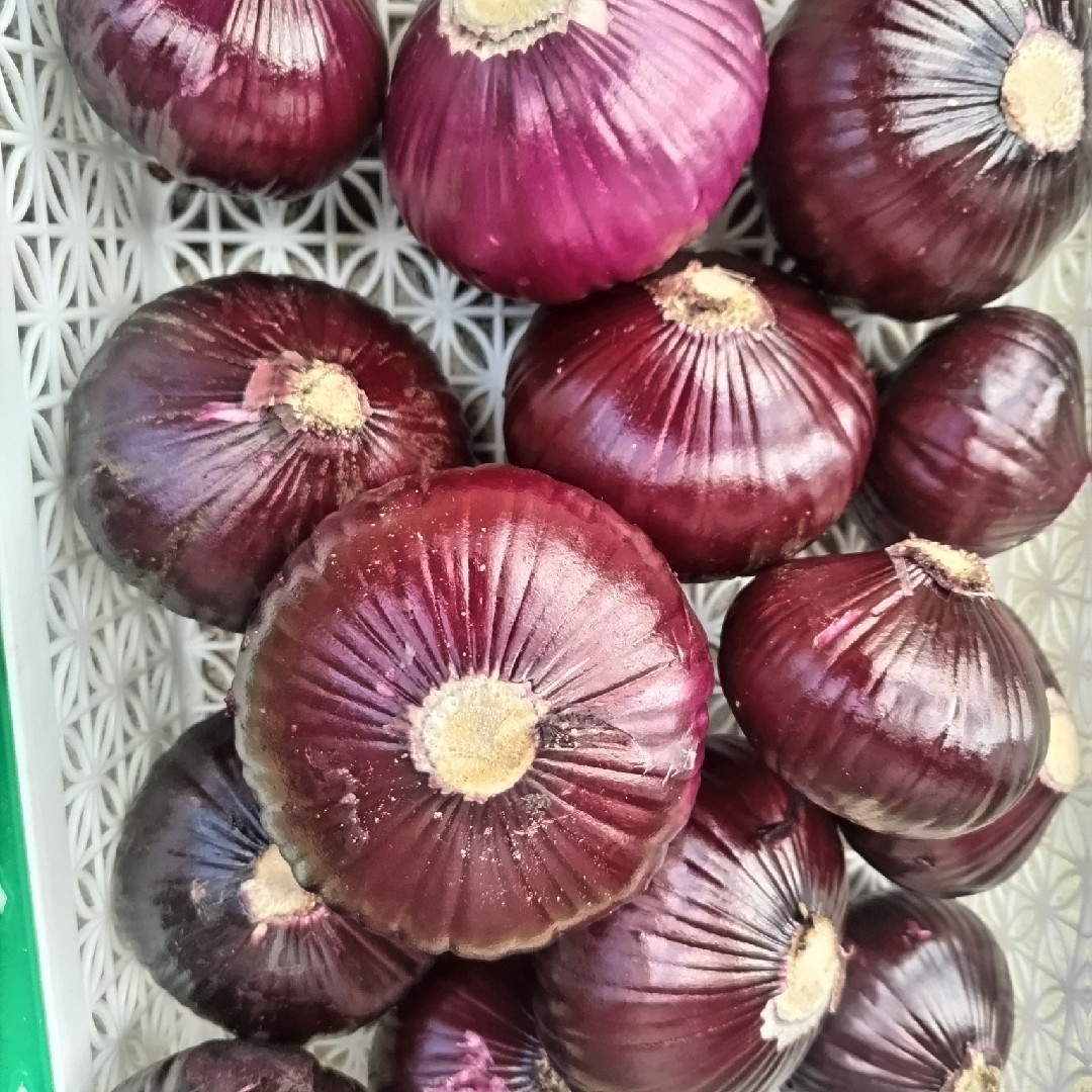 玉ねぎ(紅白)7キロ 箱❣️今が旬でメロ甘い 美味しい・無農薬 食品/飲料/酒の食品(野菜)の商品写真