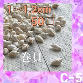 海花　小さな巻貝　小さい貝殻　ハンドメイド　C-5(各種パーツ)