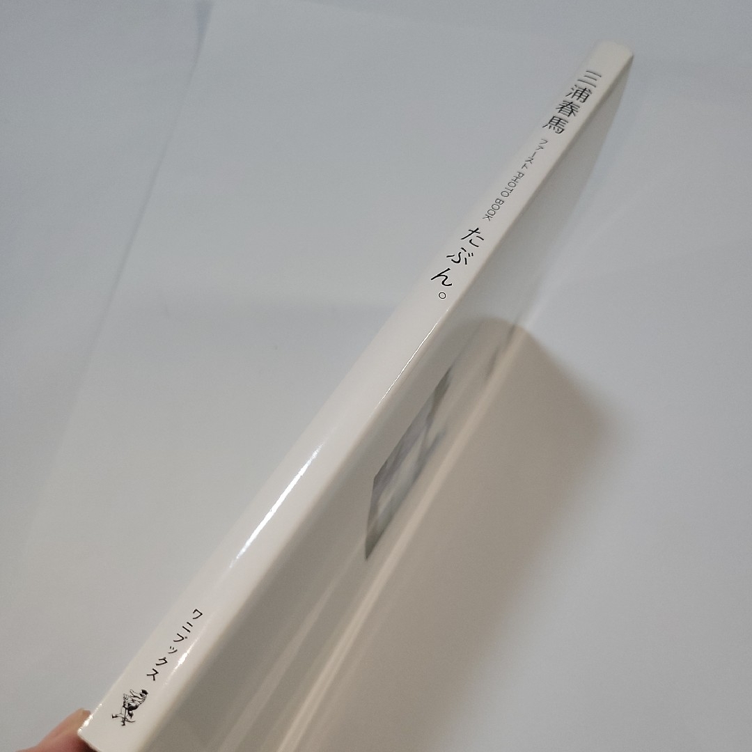 たぶん。 : 三浦春馬ファーストphoto book エンタメ/ホビーのタレントグッズ(男性タレント)の商品写真