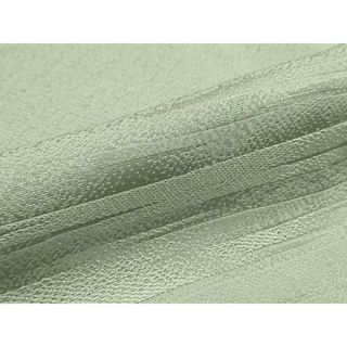 平和屋着物■上質な色無地　霞地紋　裏葉柳色　正絹　逸品　DAAS5533we(着物)