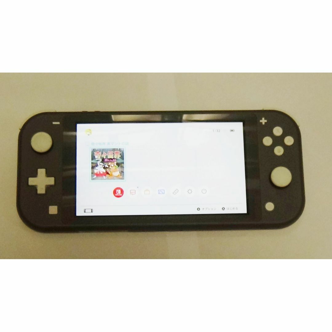 ③ Nintendo Switch Lite グレー 本体 2台 充電器付の通販 by