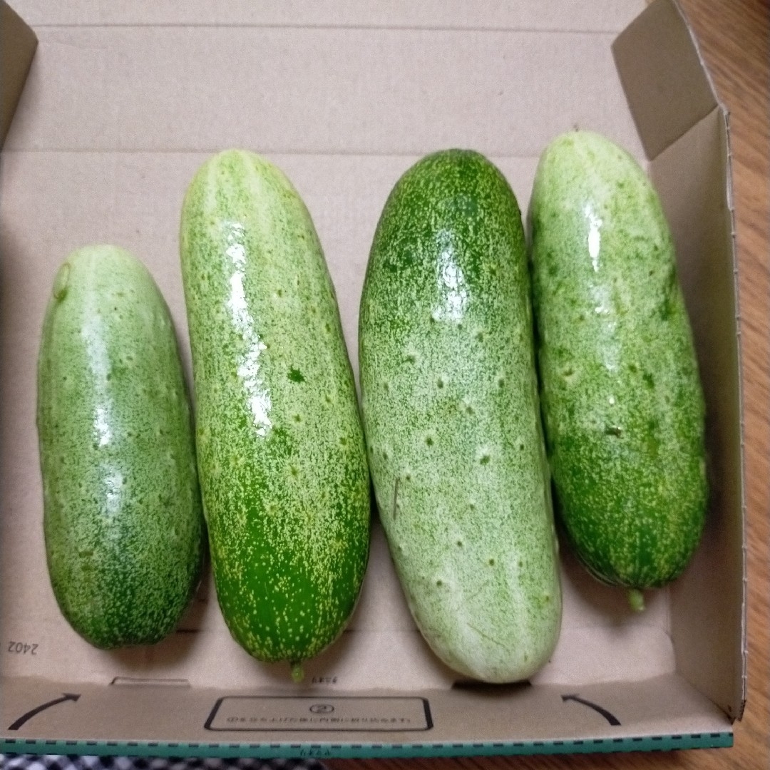 中華野菜の種子 フルーツ胡瓜 半白胡瓜 水果黄瓜 旱黄瓜 の種子 20粒 食品/飲料/酒の食品(野菜)の商品写真