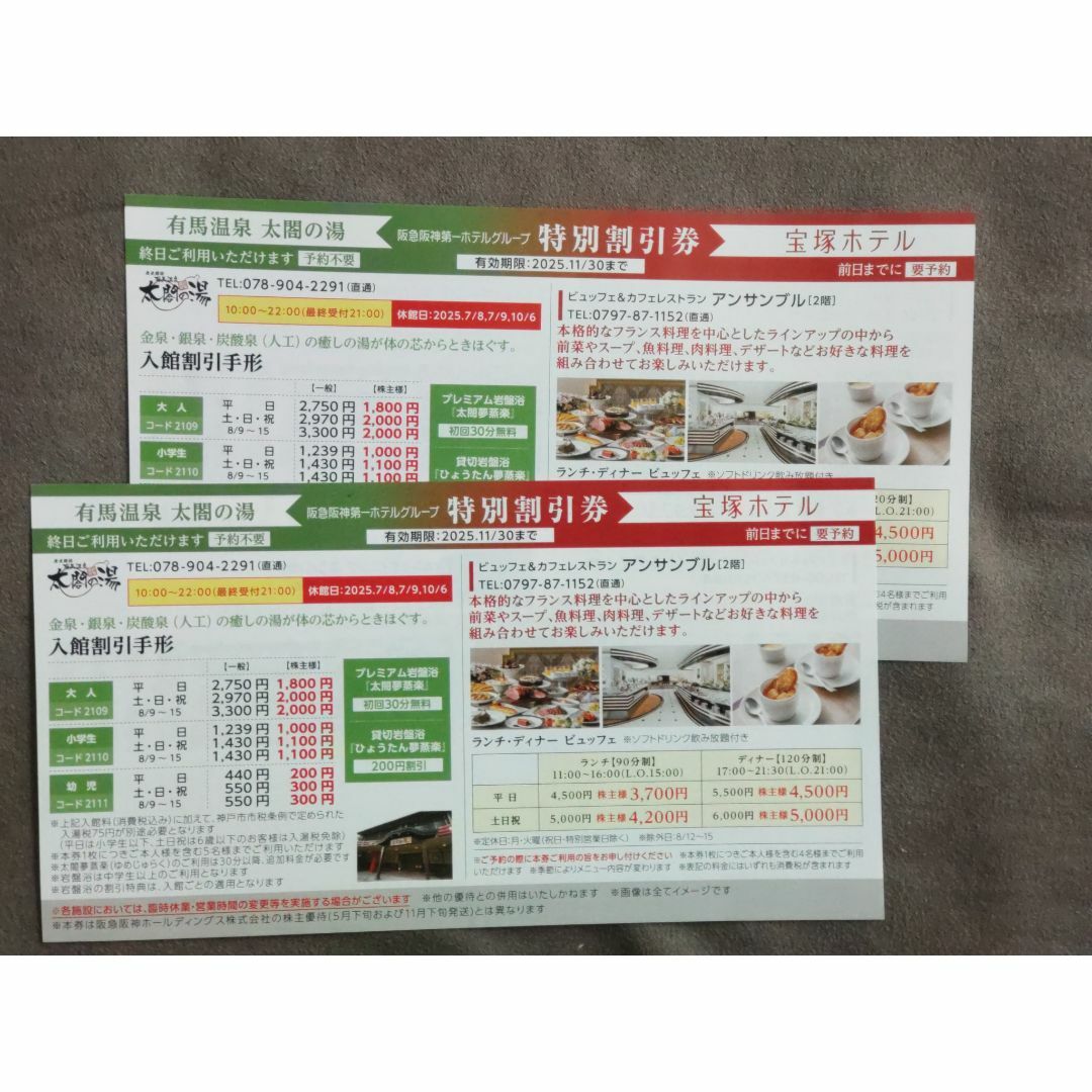 有馬温泉太閤の湯 入館料割引券 10枚 チケットの優待券/割引券(その他)の商品写真