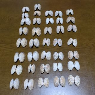 【工作用】アサリ貝殻(その他)
