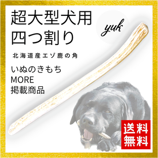 【匿名配送】超大型犬用　四つ割り　鹿の角　犬のおもちゃ　鹿の骨(犬)