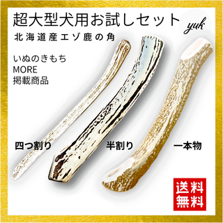 プレゼントに　超大型犬用お得なセット　四つ割り＆半割り＆一本物根元　犬のおもちゃ(犬)