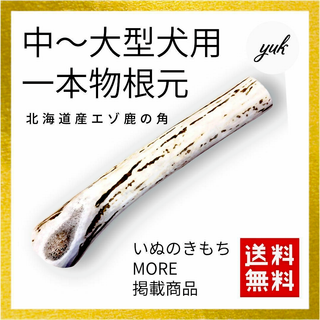 【24時間以内発送】中〜大型犬用　一本物　根元　北海道産鹿の角　犬のおもちゃ(犬)
