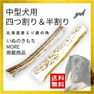 【送料無料】中型犬用　四つ割り&半割りセット 犬のおもちゃ　鹿の角(犬)