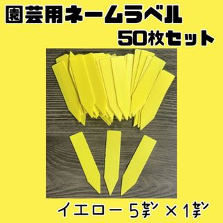 園芸用 ネーム ラベル 札 多肉 植物 苗 種 黄 50枚セット 5cm×1cm(その他)