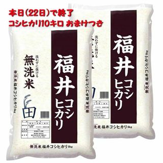 最終値引き 6/22まで　【無洗米】福井県産コシヒカリ 令和6年産 (10kg)(米/穀物)