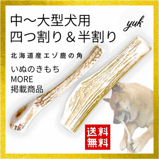 【送料無料】中〜大型犬用　四つ割り&半割り　エゾ鹿の角　犬のおもちゃ