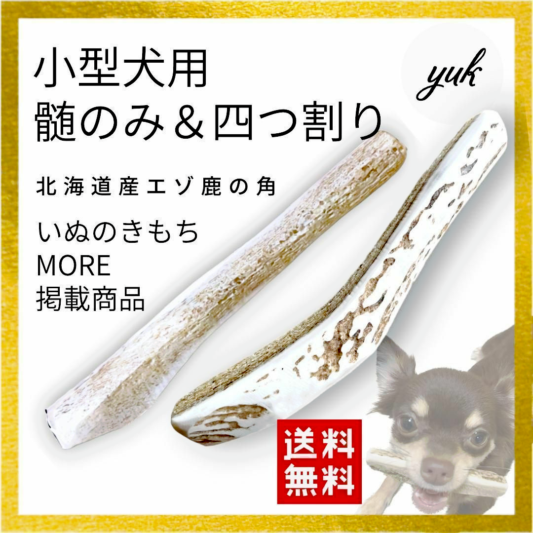 【迷ったらコチラ】小型犬用　髄のみ＆四つ割りセット 犬のおもちゃ　鹿の角　鹿の骨 その他のペット用品(犬)の商品写真