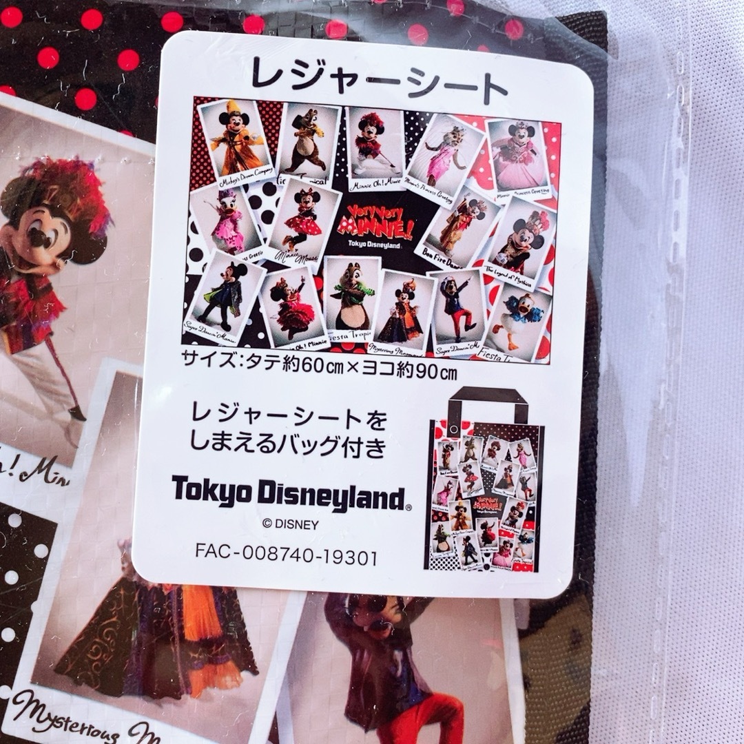 人気商品 Disney - ベリーベリー レジャーシート 東京ディズニーランド クリアファイル