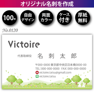 名刺作成 名刺印刷 100枚 両面 フルカラー 紙ケース付 No.0120