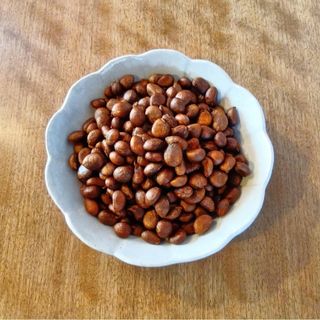 びわの種(300粒)(その他)
