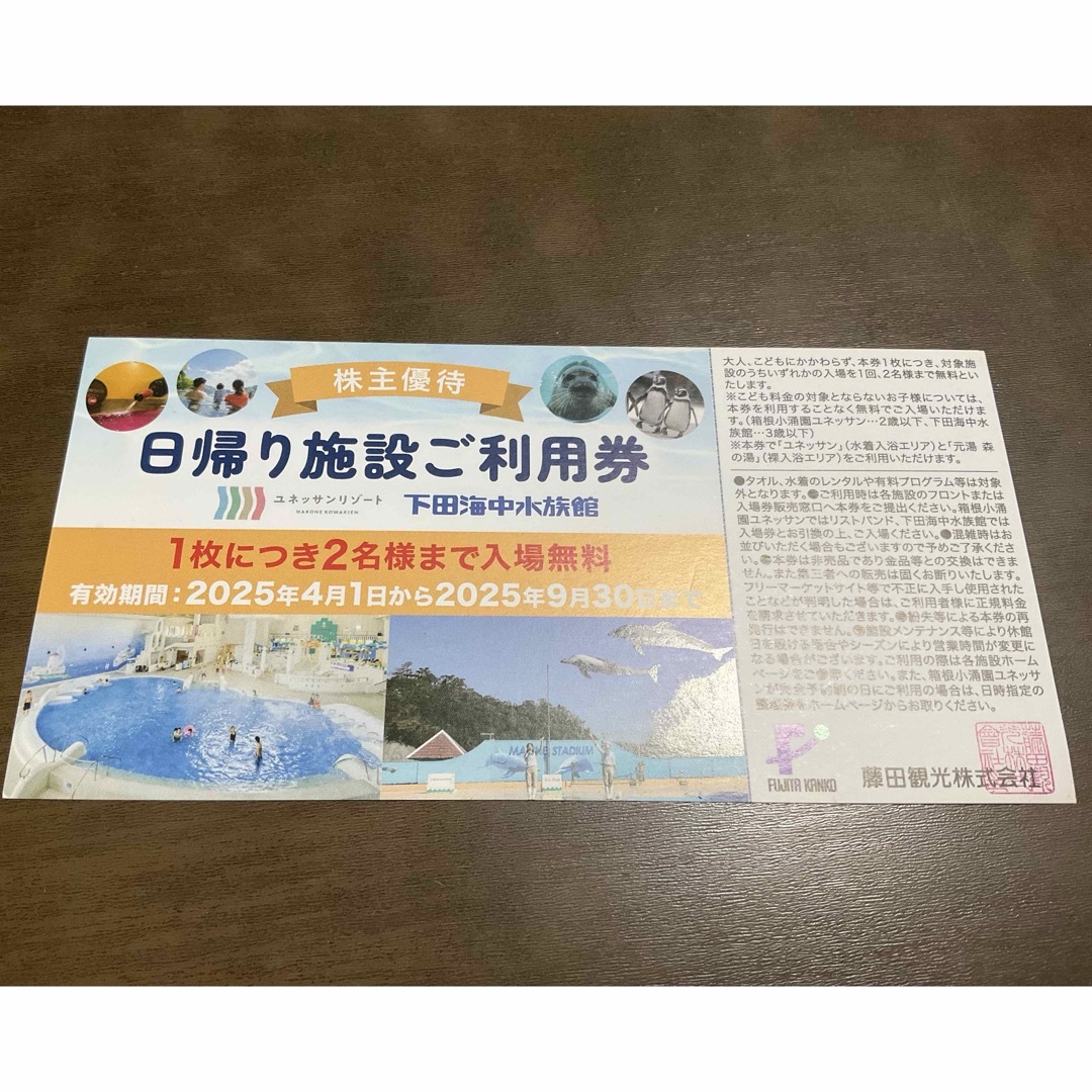 🔵藤田観光 株主優待 チケットの施設利用券(その他)の商品写真