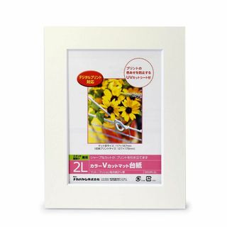 NAKABAYASHI DGVM-2L-W カラーVカットマット台紙2Lサイズ(その他)