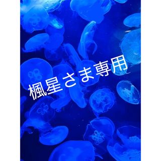 メゾンマルジェラ(Maison Margiela（旧Maison Martin Margiela）)の専用ページ　レプリカ2本セット(その他)
