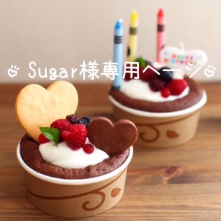 ♡Sugar様専用ページ♡(ヘアピン)