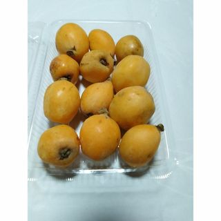 びわ　600g(フルーツ)