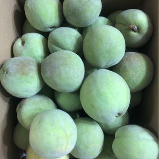 24.お買い得季節限定福島県産若桃摘果桃 硬い桃3kg加工用玉数お任せ(フルーツ)