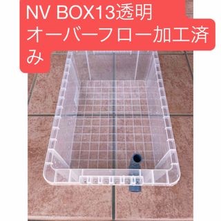 メダカ　愛好家愛用容器NVボックス13透明 オーバーフロー加工済み(アクアリウム)