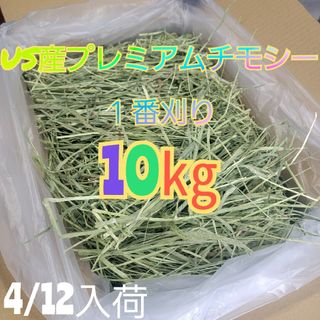 チモシー 10kg ウサギ モルモット うさぎ デグー チンチラ １番刈り 餌(ペットフード)