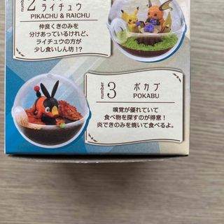 リーメント(Re-MeNT)のポケモン　テラリウムコレクション14 ポカブ②(キャラクターグッズ)