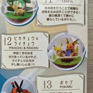 リーメント(Re-MeNT)のポケモン　テラリウムコレクション14 ピカチュウ②　ライチュウ(キャラクターグッズ)