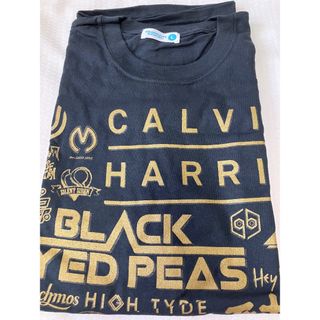 ★サマーソニック•Tシャツ★未使用！希少！フジロックBEAMSアローズシップス