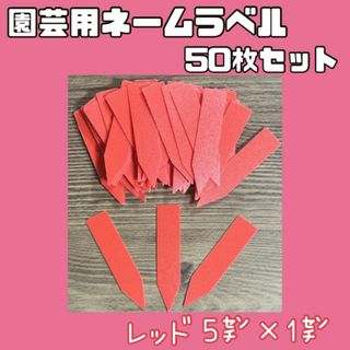 園芸用 ネーム ラベル 札 多肉 植物 苗 赤 50枚 セット 5cm×1cm