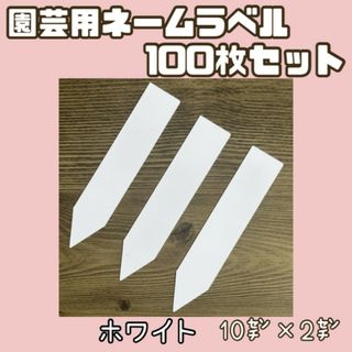 園芸用 ネーム ラベル 札 多肉 植物 白 100枚セット 10cm×2cm(その他)