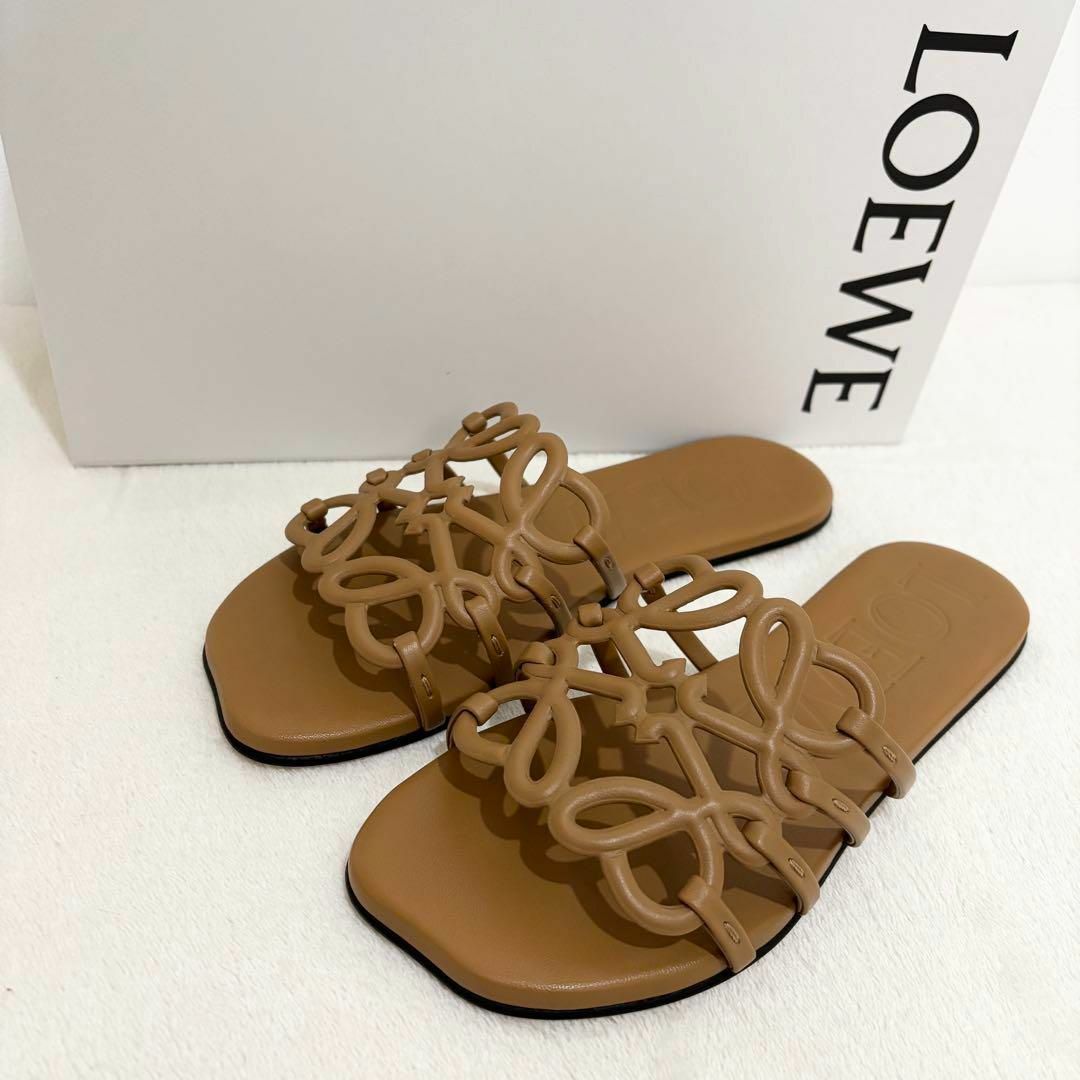 LOEWE - 【新品未使用】LOEWE ペタル アナグラム スライド