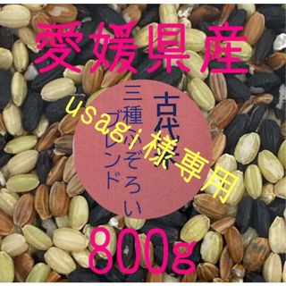 usagi様専用　古代米3種ふぞろいブレンド　愛媛県産　800ｇ(米/穀物)