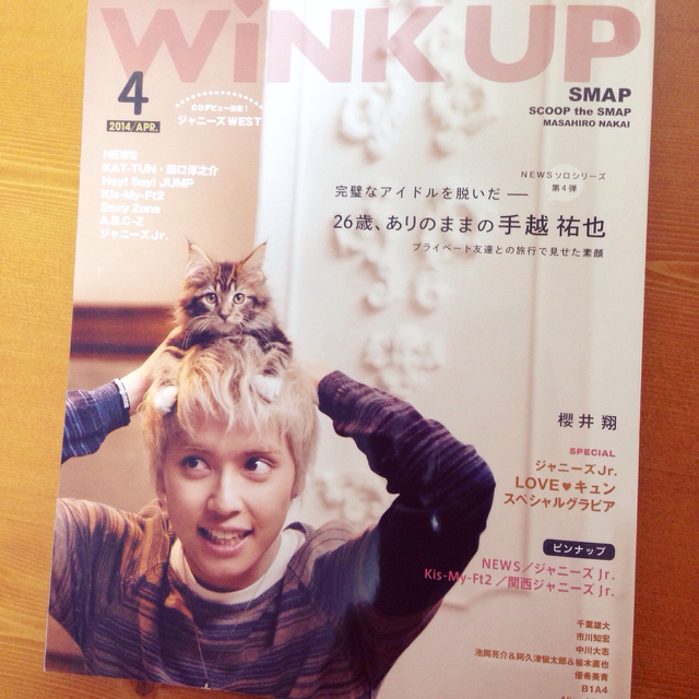 HKT48(エイチケーティーフォーティーエイト)のWiNK UP 2014年4月号 エンタメ/ホビーのタレントグッズ(アイドルグッズ)の商品写真