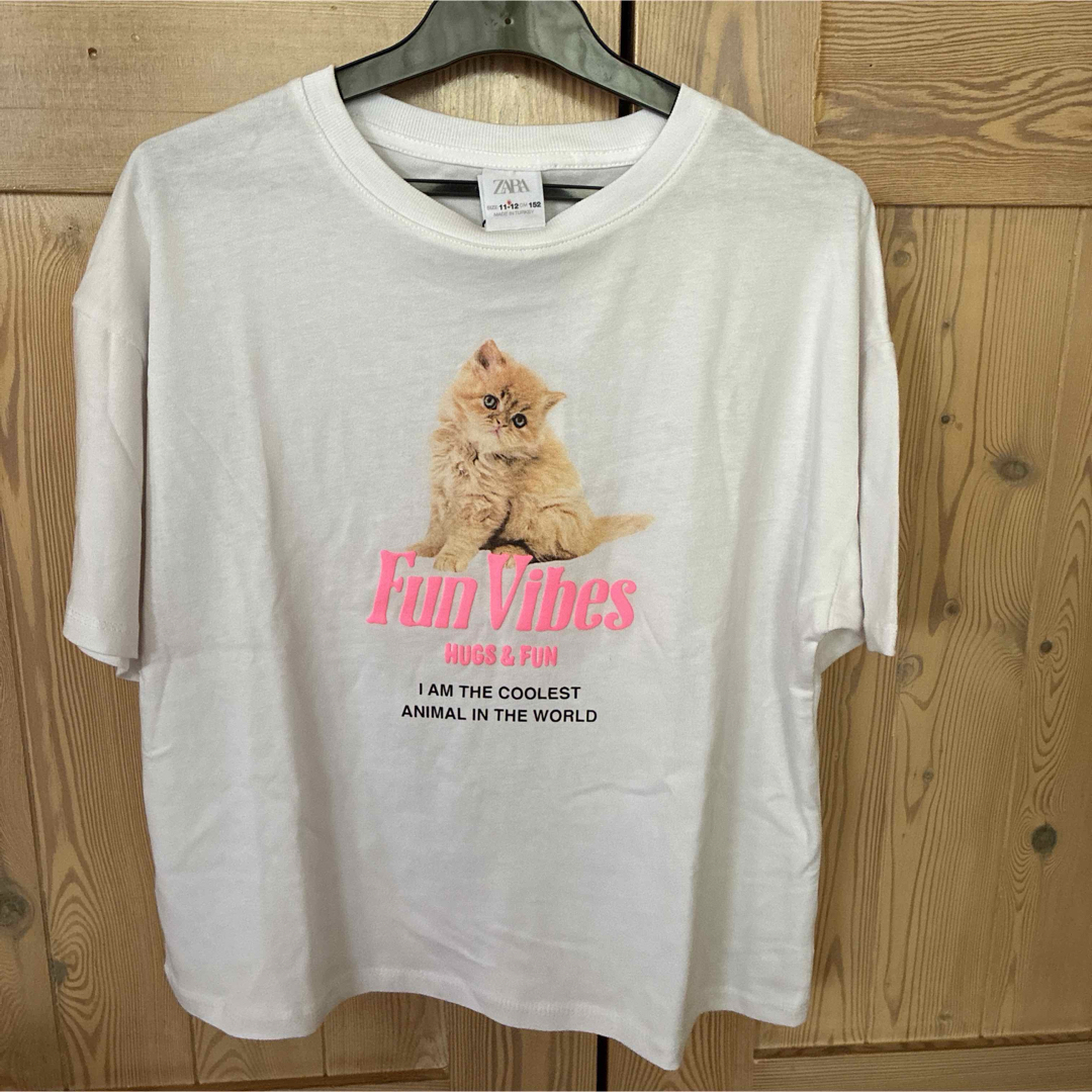 ZARA KIDS(ザラキッズ)のZARAKIDS スコティッシュフォールドTシャツ　152㎝ キッズ/ベビー/マタニティのキッズ服女の子用(90cm~)(Tシャツ/カットソー)の商品写真