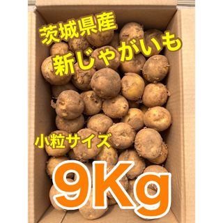 ❣️SALE　10%OFF❣️茨城県産　新じゃがいも　9Kg　 小粒サイズ(野菜)