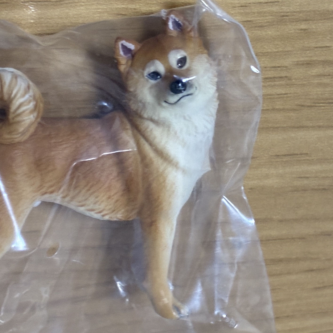 ネイチャーテクニカラー　日本のいきもの2 シバイヌ ハンドメイドのおもちゃ(フィギュア)の商品写真