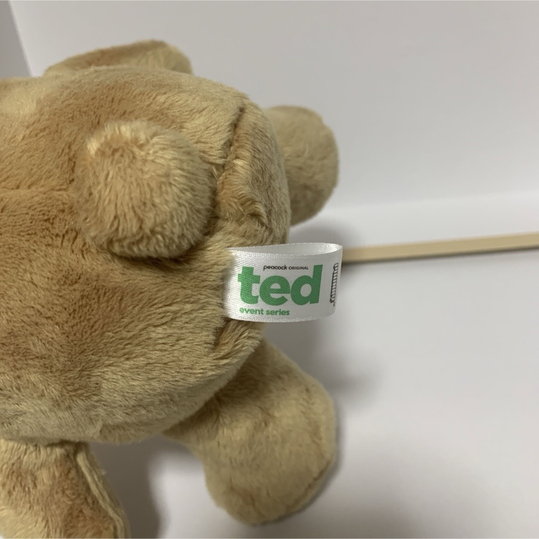 【テッドザ・シリーズ】ted ぬいぐるみ　希少　くま エンタメ/ホビーのおもちゃ/ぬいぐるみ(ぬいぐるみ)の商品写真