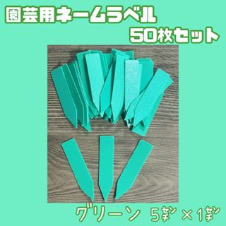 園芸用 ネーム ラベル 札 多肉 植物 苗 種 緑 50枚セット 5cm×1cm(その他)