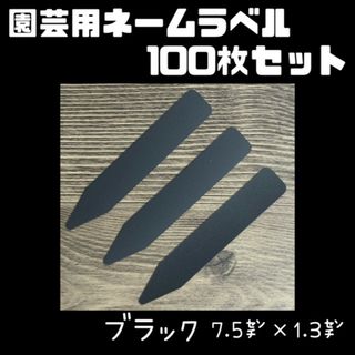園芸用 ネーム ラベル 札 多肉植物 黒 100枚セット 7.5cm×1.3cm(その他)