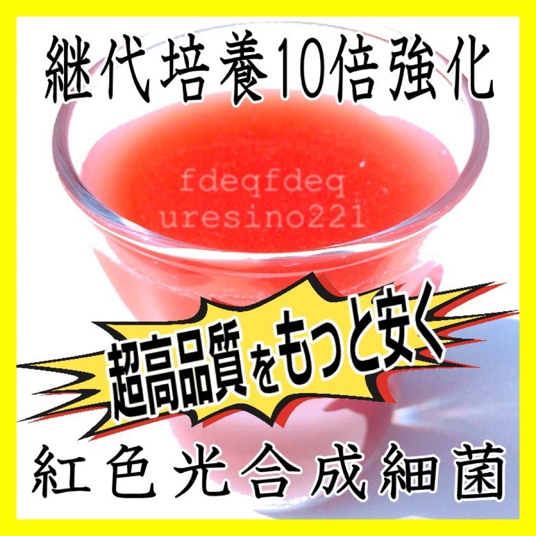 ガチ濃い！培養酵母10錠付！PSB(光合成細菌) 750ml入り その他のペット用品(その他)の商品写真