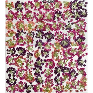 SALE☆880→699円　値下げ押し花素材