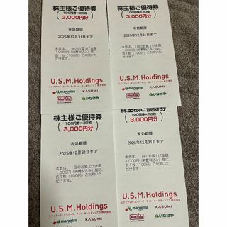 USMH　ユナイテッドスーパー株主優待券　12000円分(ショッピング)
