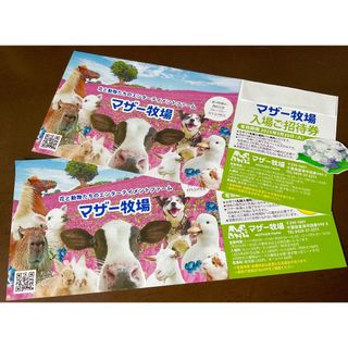 ’25 /９.30 迄 ◆ 千葉県 マザー牧場 ◆ 入園券２枚 set！(遊園地/テーマパーク)