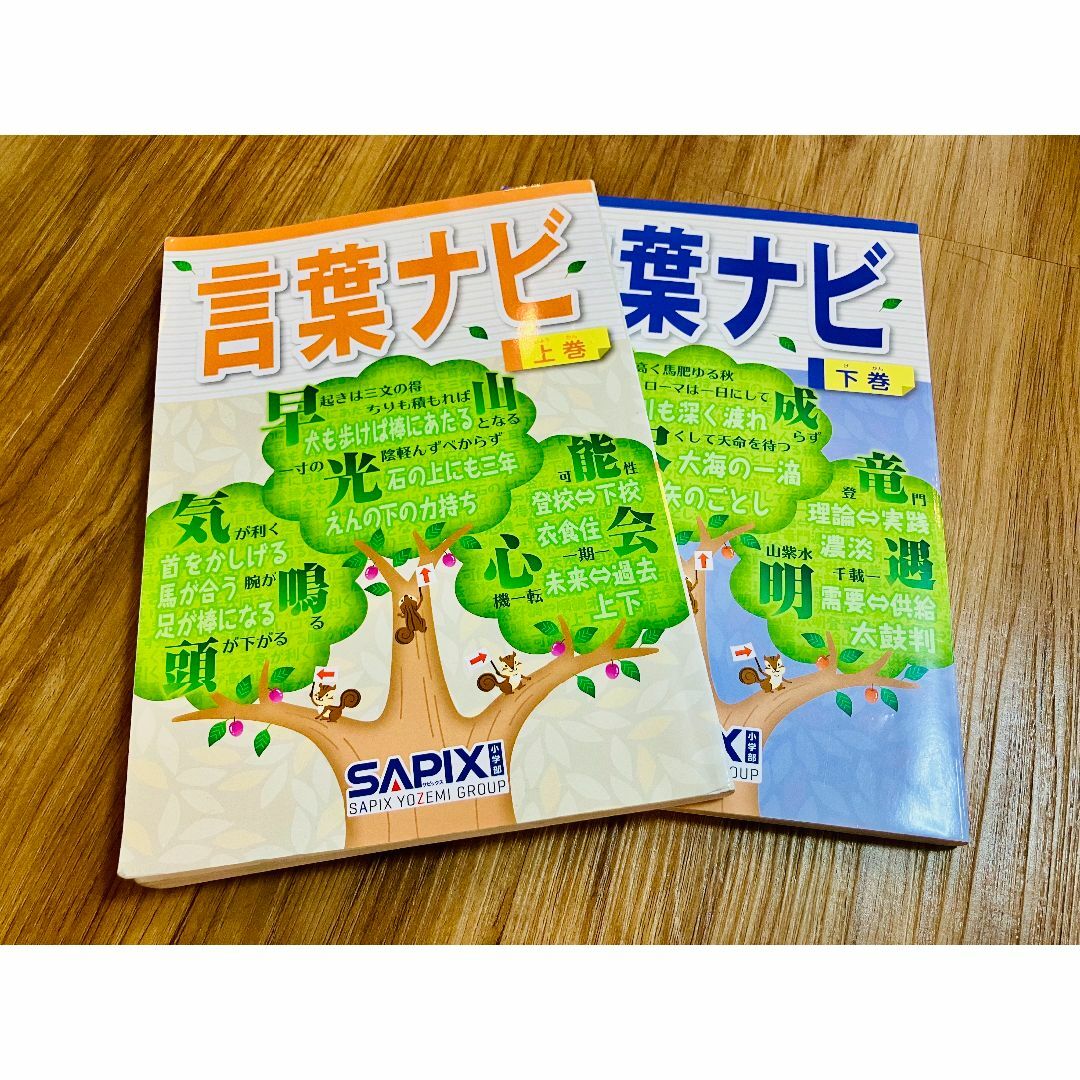 SAPIX 言葉ナビ 上巻/下巻 2023 計2冊 024S2D SAPIX 言葉ナビ 上巻/下巻 2023 計2冊 024S2D - メルカリ