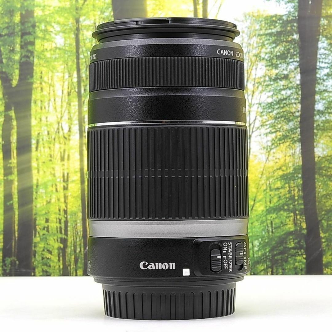 Canon - スポーツシーン必須！☆Canon EF-S 55-250mm☆手振れ